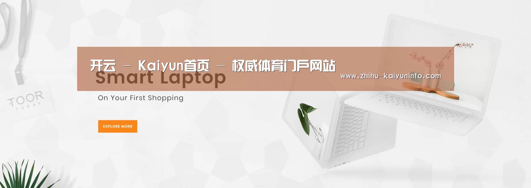 某某网络科技有限公司