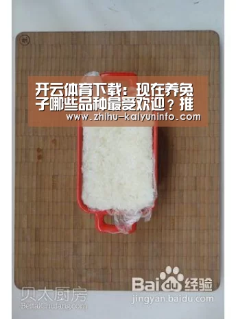 开云体育下载:现在养兔子哪些品种最受欢迎?推荐7个优良品种给大家!(图2) 开云体育下载